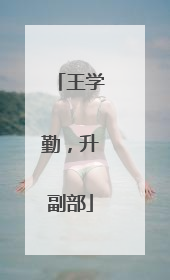 王学勤，升副部
