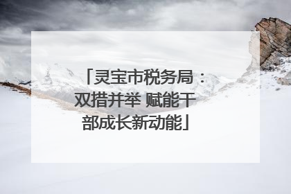 灵宝市税务局：双措并举 赋能干部成长新动能