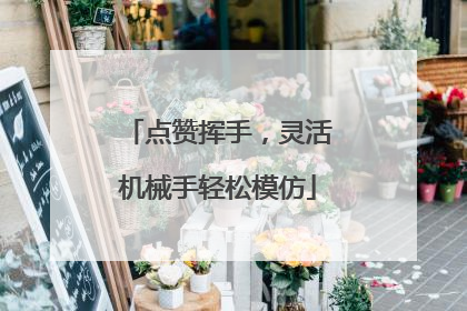 点赞挥手，灵活机械手轻松模仿