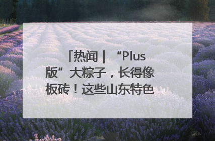 热闻｜“Plus版”大粽子，长得像板砖！这些山东特色粽子你吃过吗？