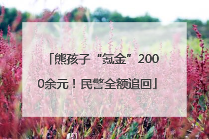 熊孩子“氪金”2000余元！民警全额追回