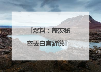 爆料：盖茨秘密去白宫游说