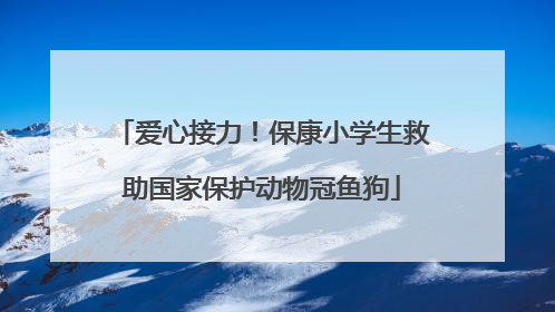 爱心接力！保康小学生救助国家保护动物冠鱼狗