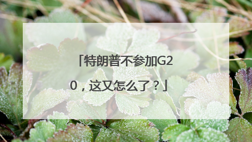 特朗普不参加G20，这又怎么了？