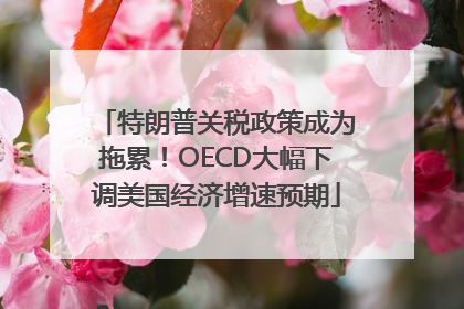 特朗普关税政策成为拖累！OECD大幅下调美国经济增速预期