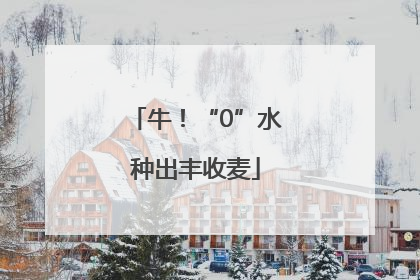 牛！“0”水种出丰收麦