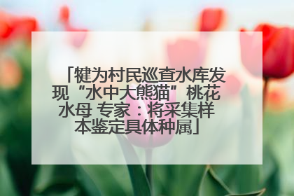 犍为村民巡查水库发现“水中大熊猫”桃花水母 专家：将采集样本鉴定具体种属