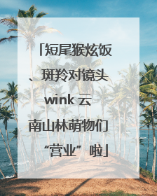 短尾猴炫饭、斑羚对镜头wink 云南山林萌物们“营业”啦