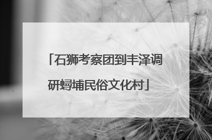 石狮考察团到丰泽调研蟳埔民俗文化村