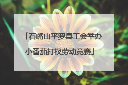 石嘴山平罗县工会举办小番茄打杈劳动竞赛