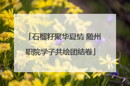 石榴籽聚华夏情 随州职院学子共绘团结卷