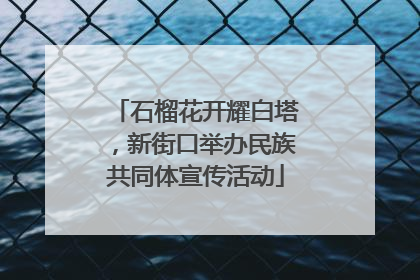 石榴花开耀白塔，新街口举办民族共同体宣传活动