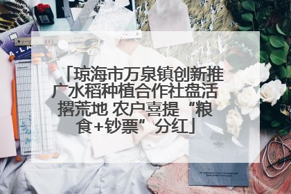 琼海市万泉镇创新推广水稻种植合作社盘活撂荒地 农户喜提“粮食+钞票”分红