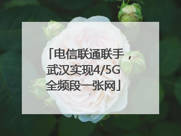 电信联通联手，武汉实现4/5G全频段一张网