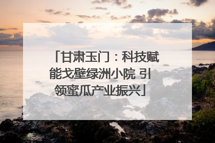 甘肃玉门：科技赋能戈壁绿洲小院 引领蜜瓜产业振兴