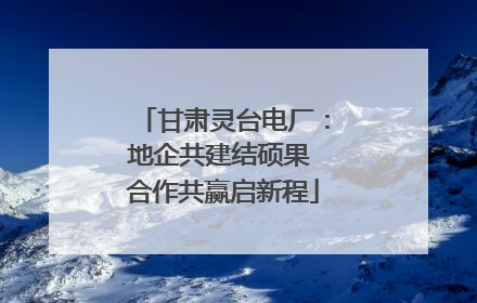 甘肃灵台电厂：地企共建结硕果 合作共赢启新程