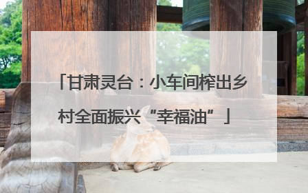 甘肃灵台：小车间榨出乡村全面振兴“幸福油”
