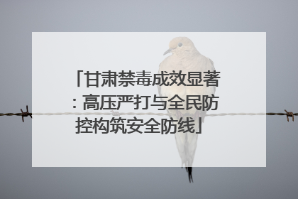 甘肃禁毒成效显著：高压严打与全民防控构筑安全防线