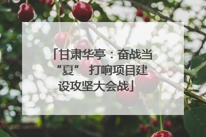 甘肃华亭：奋战当“夏” 打响项目建设攻坚大会战