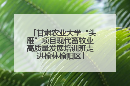 甘肃农业大学“头雁”项目现代畜牧业高质量发展培训班走进榆林榆阳区