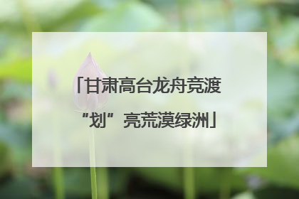 甘肃高台龙舟竞渡“划”亮荒漠绿洲