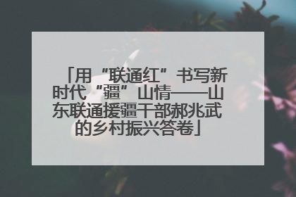 用“联通红”书写新时代“疆”山情——山东联通援疆干部郝兆武的乡村振兴答卷
