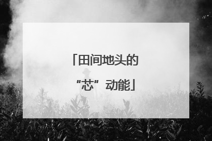 田间地头的“芯”动能