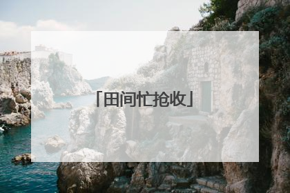 田间忙抢收
