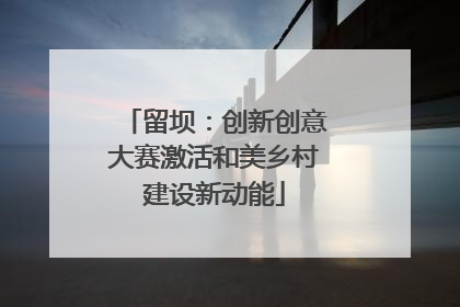 留坝：创新创意大赛激活和美乡村建设新动能