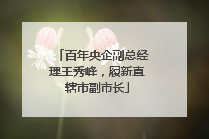 百年央企副总经理王秀峰，履新直辖市副市长