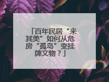 百年民居“来其美”如何从危房“孤岛”变挂牌文物？