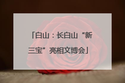 白山：长白山“新三宝”亮相文博会