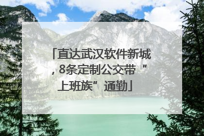 直达武汉软件新城，8条定制公交带“上班族”通勤