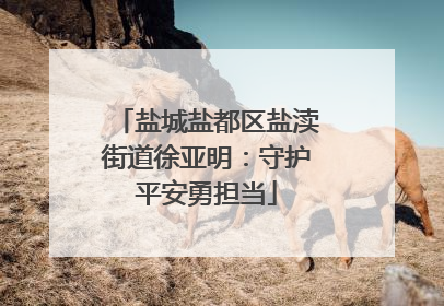 盐城盐都区盐渎街道徐亚明：守护平安勇担当
