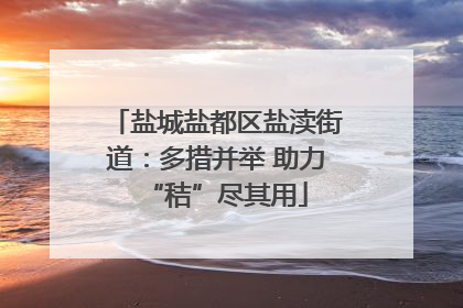 盐城盐都区盐渎街道：多措并举 助力“秸”尽其用