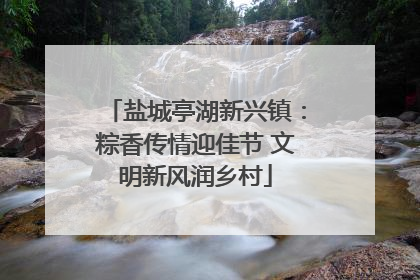 盐城亭湖新兴镇：粽香传情迎佳节 文明新风润乡村