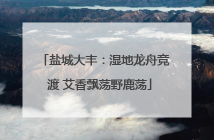 盐城大丰：湿地龙舟竞渡 艾香飘荡野鹿荡