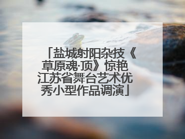 盐城射阳杂技《草原魂·顶》惊艳江苏省舞台艺术优秀小型作品调演