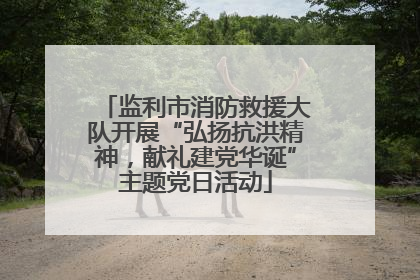 监利市消防救援大队开展“弘扬抗洪精神，献礼建党华诞”主题党日活动