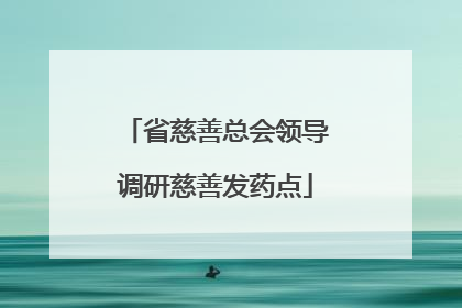 省慈善总会领导调研慈善发药点