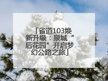 省道103焕新升级：泉城“后花园”开启梦幻公路之旅