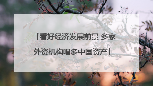 看好经济发展前景 多家外资机构唱多中国资产