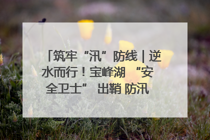 筑牢“汛”防线｜逆水而行！宝峰湖 “安全卫士” 出鞘 防汛应急再添硬核力量