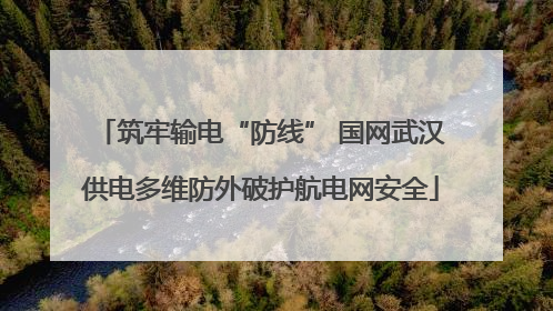 筑牢输电“防线” 国网武汉供电多维防外破护航电网安全