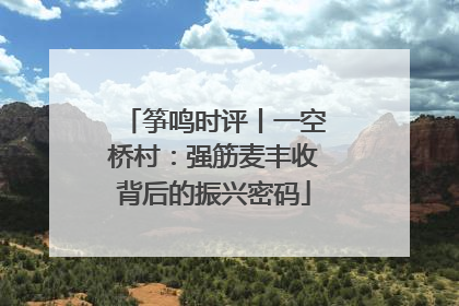 筝鸣时评丨一空桥村：强筋麦丰收背后的振兴密码