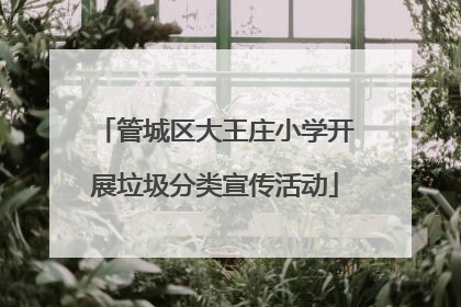 管城区大王庄小学开展垃圾分类宣传活动