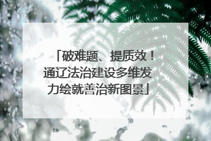 破难题、提质效！通辽法治建设多维发力绘就善治新图景