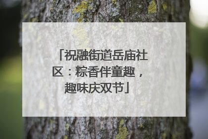 祝融街道岳庙社区：粽香伴童趣，趣味庆双节