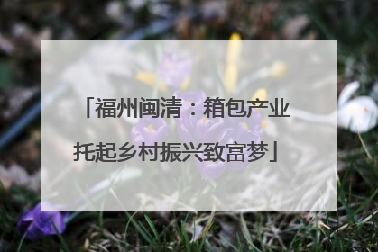 福州闽清：箱包产业托起乡村振兴致富梦