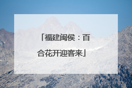 福建闽侯：百合花开迎客来